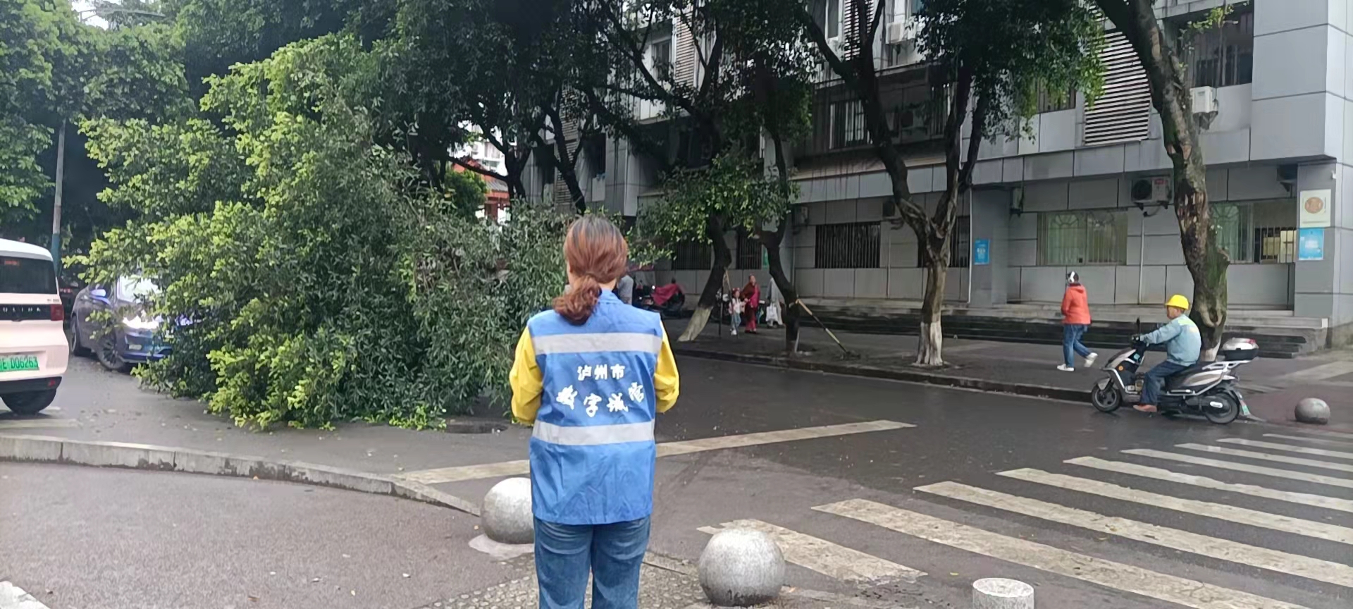 堅持雨后精準采集，共護市民出行安全